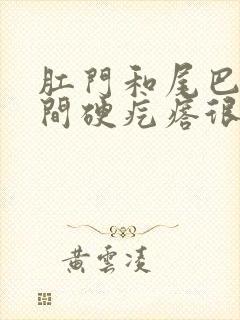 肛门和尾巴骨中间硬疙瘩很疼