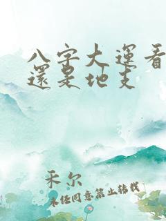 八字大运看天干还是地支