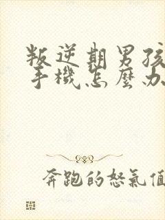 叛逆期男孩沉迷手机怎么办