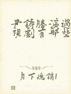 尹铸胜演过的电视剧有哪些