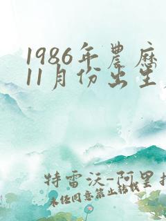 1986年农历11月份出生属虎的命运