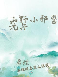 山野小邪医叶凡沈丹