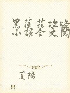 黑莲花攻略手册小说全文阅