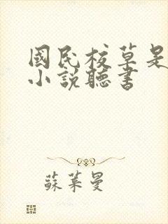 国民校草是女生小说听书