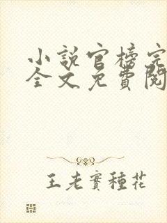小说官榜完整版全文免费阅读