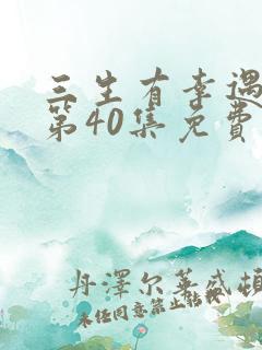 三生有幸遇见你第40集免费看