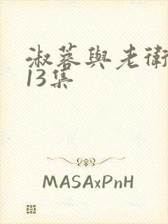 淑蓉与老卫1—13集