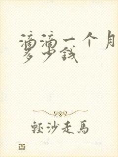 滴滴一个月能赚多少钱