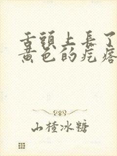舌头上长了一个黄色的疙瘩