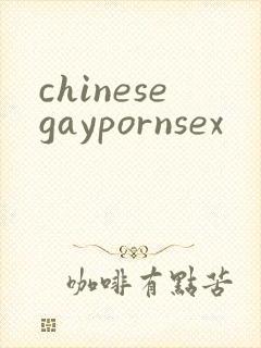 chinesegaypornsex