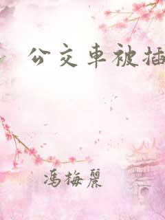 公交车被插小说