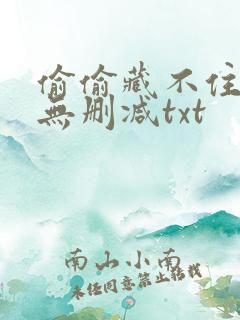 偷偷藏不住番外无删减txt