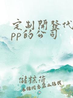 定制开发代驾app的公司