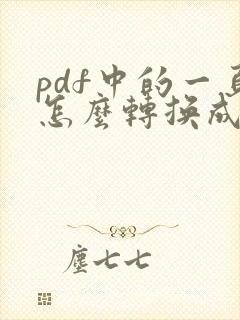 pdf中的一页怎么转换成word