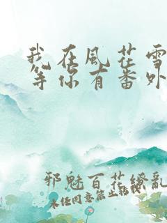 我在风花雪月里等你有番外吗