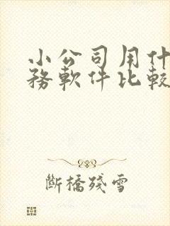 小公司用什么财务软件比较好