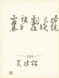 电视剧《扫毒风暴》在线观看高清