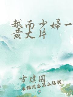 越南少妇一级特黄大片