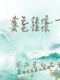 黄色录像,一级黄色录像
