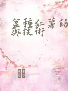 盆种红薯的方法与技术