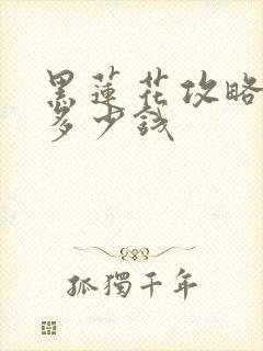 黑莲花攻略手册多少钱