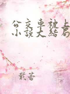 公交车被上高潮小说大结局