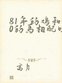 81年的鸡和90的马相配吗