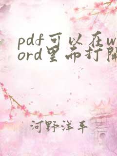 pdf可以在word里面打开吗