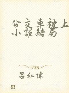 公交车被上高潮小说结局