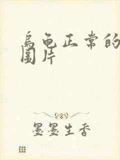 乌龟正常的粪便图片