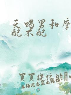 天蝎男和摩羯女配不配