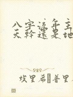 八字流年主要看天干还是地支