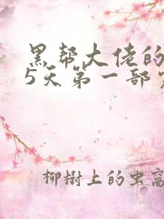 黑帮大佬的365天第一部完整版中