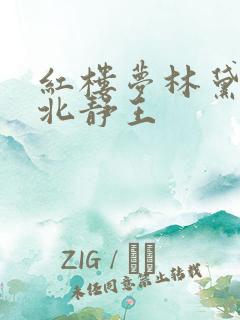 红楼梦林黛玉与北静王