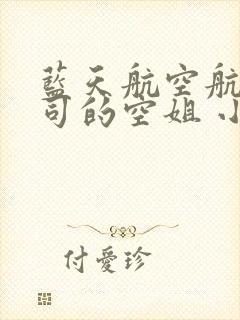 蓝天航空航天公司的空姐 小说阅读