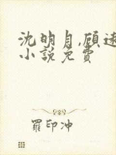 沈明月,顾远舟小说免费