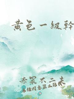 黄色一级干逼片