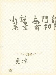 小说 上门龙婿 叶晨 萧初然