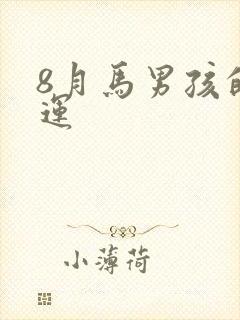 8月马男孩的命运