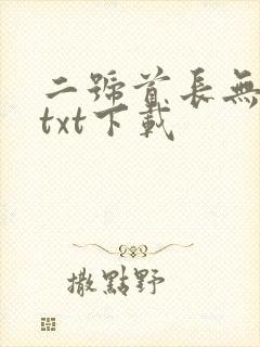 二号首长无删减txt下载