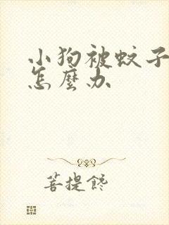 小狗被蚊子咬了怎么办