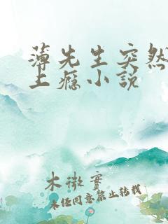薄先生突然黏她上瘾小说