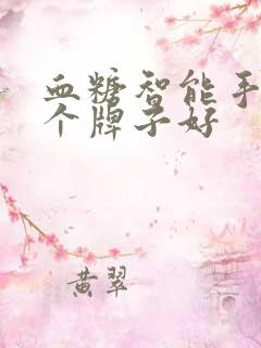 血糖智能手表哪个牌子好