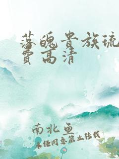 落魄贵族琉璃免费高清