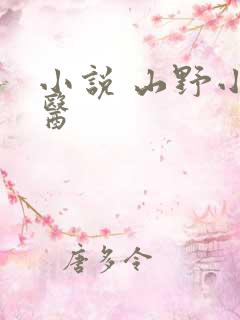 小说 山野小村医