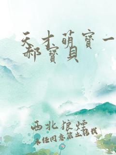 天才萌宝一加一 郝宝贝