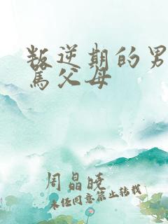 叛逆期的男孩子骂父母