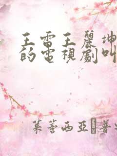王雷王丽坤主演的电视剧叫什么名字