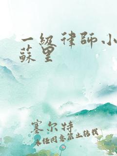 一级律师小说木苏里