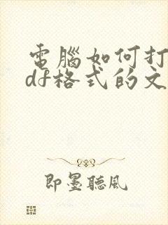 电脑如何打开pdf格式的文件